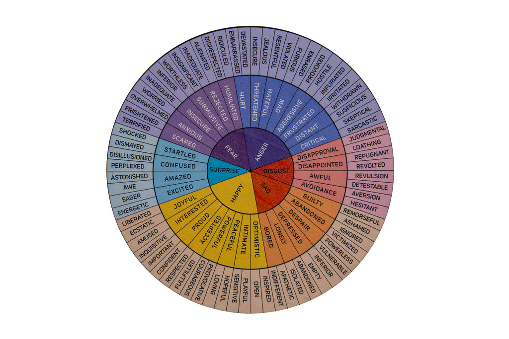 Feelings Wheel Poster with Stand